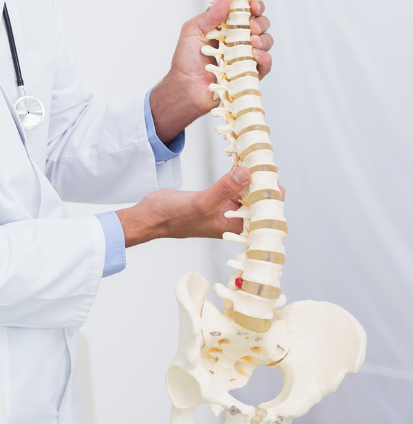 Ostéopathe - Allex - Séances d'Ostéopathie