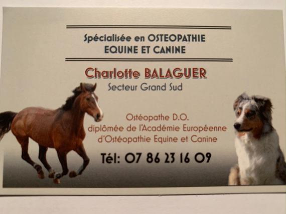 Ostéopathe - Uzès - Charlotte Balaguer